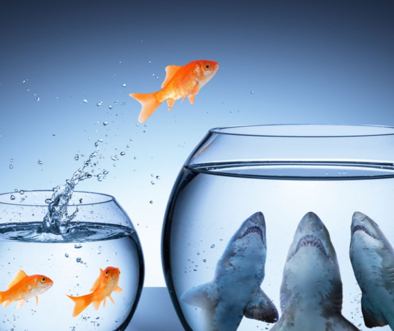 Let's Talk About Risk | Haverfords