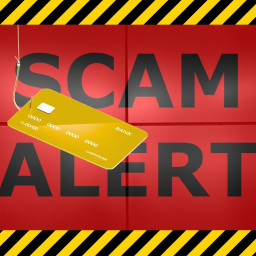 ScamSmart Week: Protect What’s Yours!