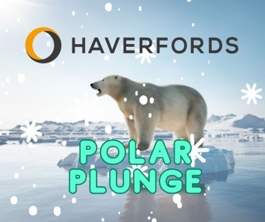 Haverfords Polar Plunge