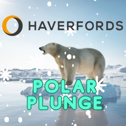 Haverfords Polar Plunge